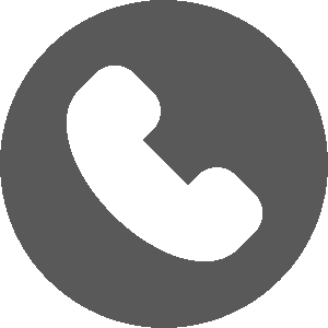 Phone Icon